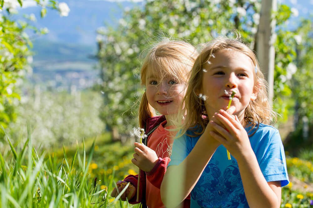 Famiglia e bambini 