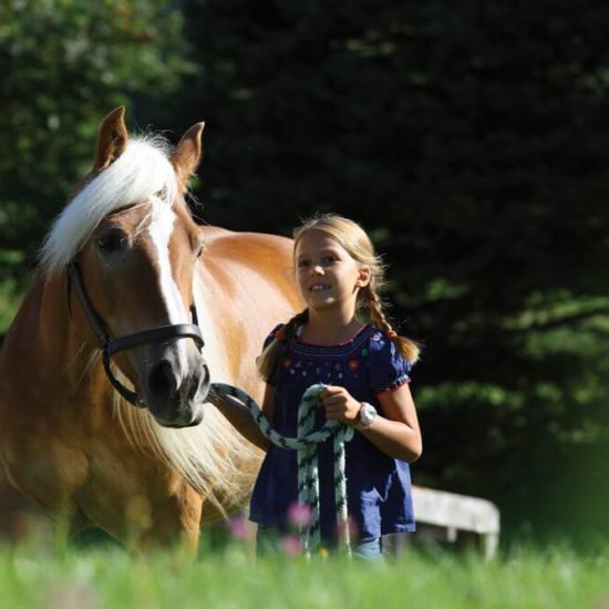 Horse riding