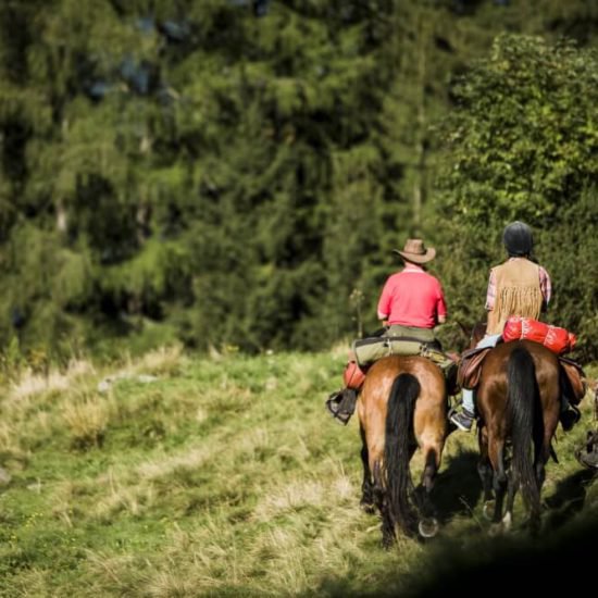 Vacation in Aurina Valley 8